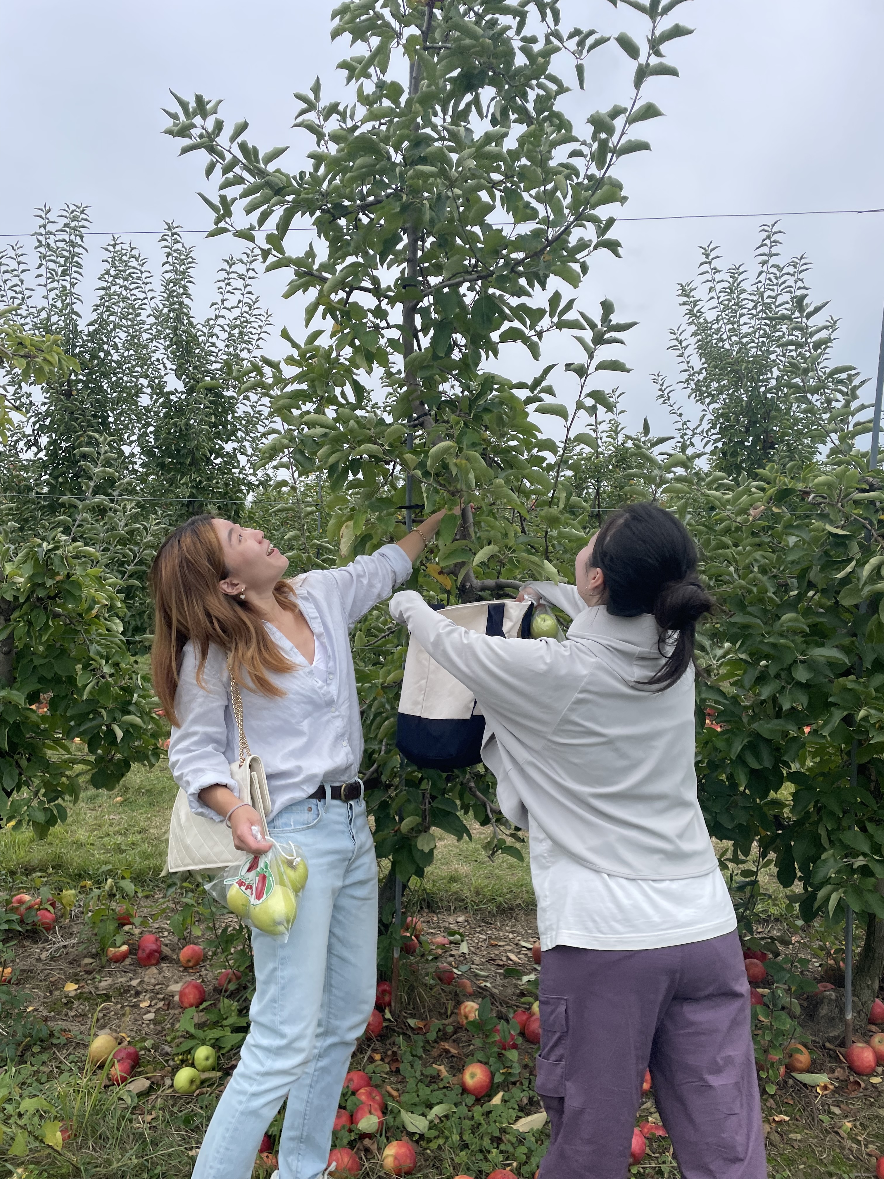 Yuhan and Ziyu at Soergel Orchards.
